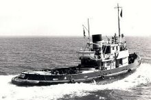 colonel_1960_lacanau.jpg