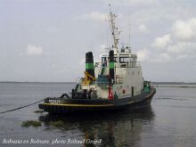 Robusta_01_roland-grard.jpg