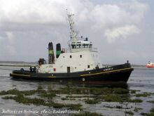 Robusta_02_roland-grard.jpg