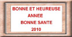 2010_voeux_plb.jpg