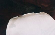 atlas-1985_helice_08.jpg