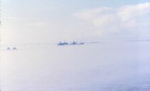 hermine_nola_br_02.jpg