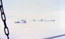 hermine_nola_br_04.jpg