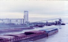 hermine_nola_destr_02.jpg