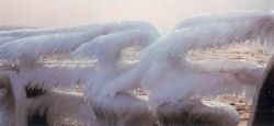 amandine-glace_84-a65-16.jpg