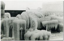 hermine_1978-79_01.jpg