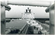 hermine_1978-79_02.jpg