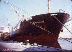laurentine_coat_03.jpg